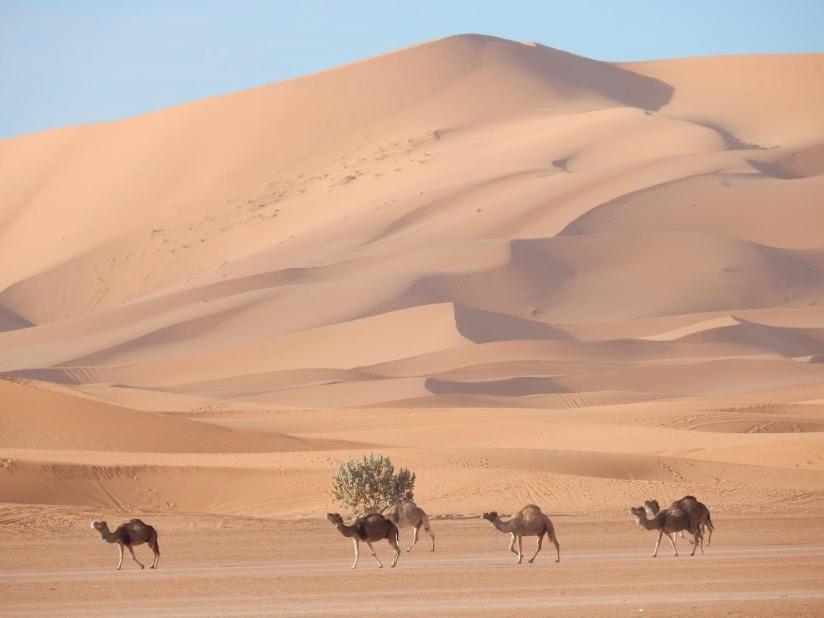 Auberge Sahara Garden Lac Yasmins Екстериор снимка
